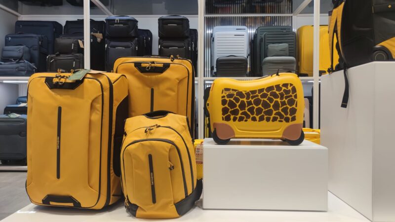 Chic Accent- Samsonite Group - Image 6